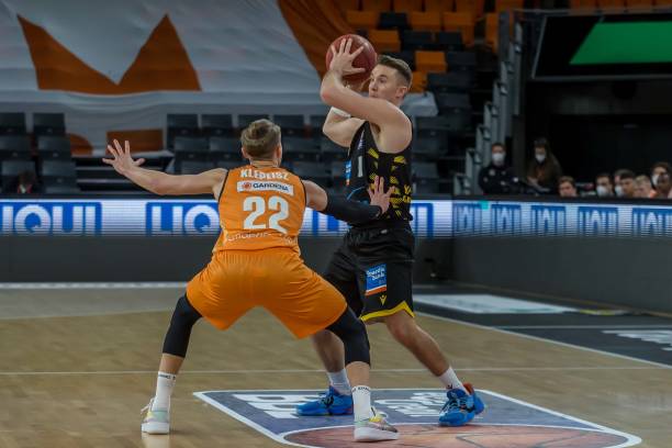 以前五号种 以前五号种